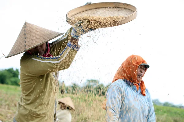 BALI — Stock Photo, Image