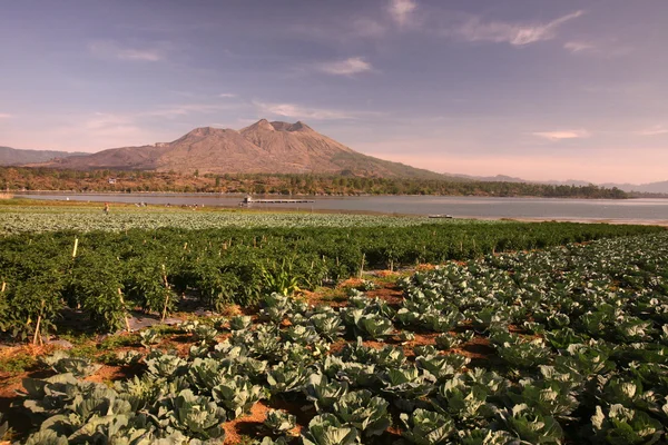 Volcanic lanscape — Stock Photo, Image