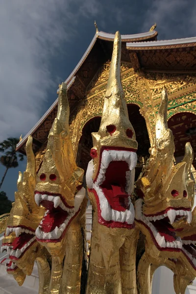 Laos luang prabang — Photo