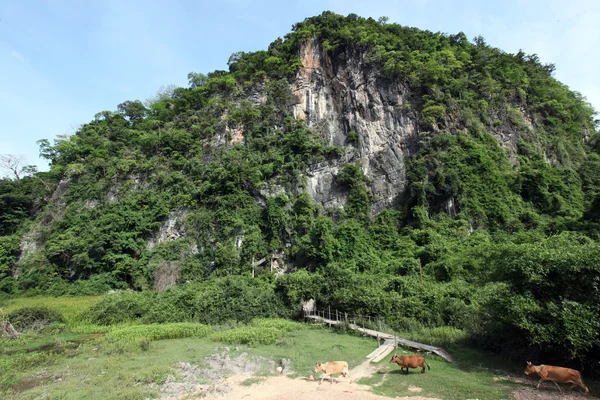 Lao Tha Khaek — Stok fotoğraf