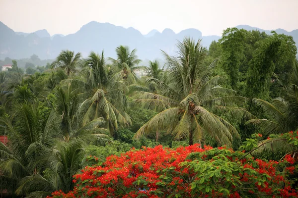 LAO THA KHAEK — Stock Photo, Image