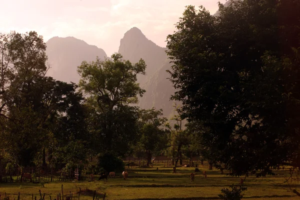 Paysage Région Mahaxai Près Tha Kaek Dans Centre Laos Dans — Photo