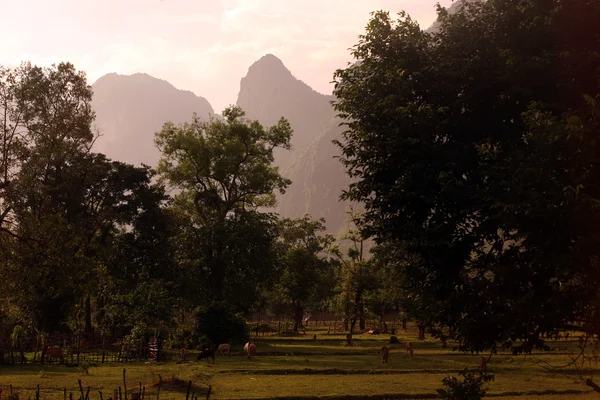 Krajobraz Mahaxai Regionu Pobliżu Tha Kaek Centrum Laos Southeastasia — Zdjęcie stockowe