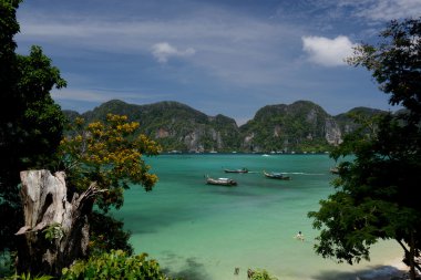 ko adadan phiphi ko phi phi Adası Güney Tayland andaman Denizi krabi şehir dışında üzerinde sahilde. 
