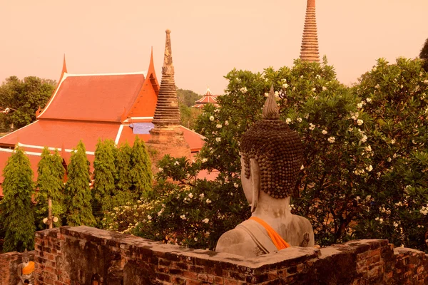 Thailand Ayutthaya — Stockfoto