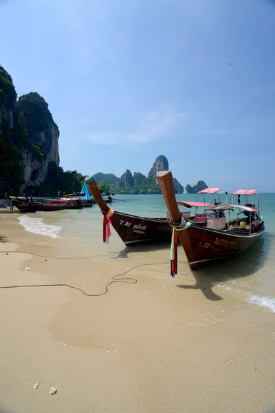 Thajsko krabi — Stock fotografie