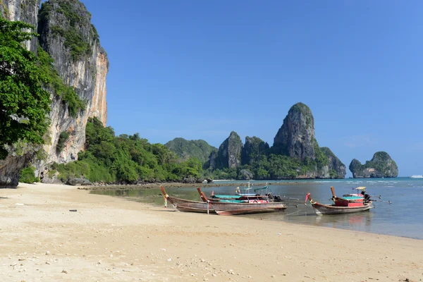 Thajsko krabi — Stock fotografie