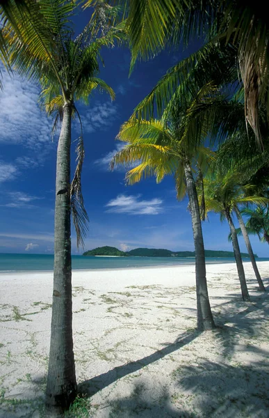 Plaża Landscape Naer Ayer Hangat Village Północy Wyspy Langkawi Malezji — Zdjęcie stockowe