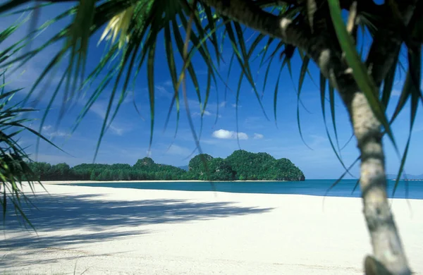 Пляж Селом Аєр Хангат Півночі Острова Лангкаві Малайзії Малайзія Лангкаві — стокове фото