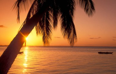 Tanzanya 'nın Zanzibar Adası' ndaki Bwejuu Köyü yakınlarındaki Chwaka Koyu 'nda Palmtrees ile gün batımı. Tanzanya, Zanzibar, Bwejuu, Ekim 2004