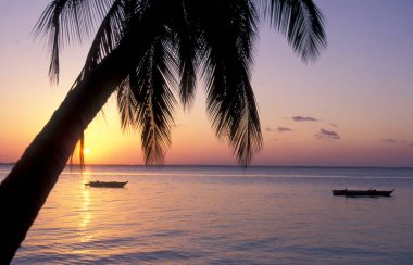 Tanzanya 'nın Zanzibar Adası' ndaki Bwejuu Köyü yakınlarındaki Chwaka Koyu 'nda Palmtrees ile gün batımı. Tanzanya, Zanzibar, Bwejuu, Ekim 2004
