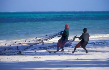 Tanzanya 'nın Zanzibar Adası' ndaki Bwejuu Köyü 'nün doğu kıyısındaki sahilde balıkçılar. Tanzanya, Zanzibar, Bwejuu, Ekim 2004