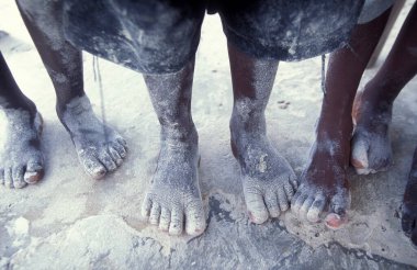 Kadınlar Tanzanya 'nın Zanzibar adasındaki Bwejuu Köyü' nün doğu kıyısındaki Seaweed Çiftliğinde çalışıyorlar. Tanzanya, Zanzibar, Bwejuu, Ekim 2004