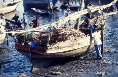 Balık, Tanzanya 'nın Zanzibar Adası' ndaki Eski Taş Kasaba 'yı harmanlıyor. Tanzanya, Zanzibar, Taş Şehir, Ekim 2004