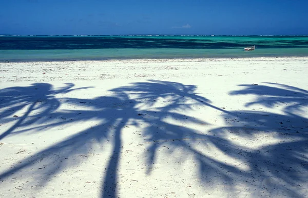 Schaduw Van Palmbomen Het Strand Met Het Landschap Aan Oostkust — Stockfoto