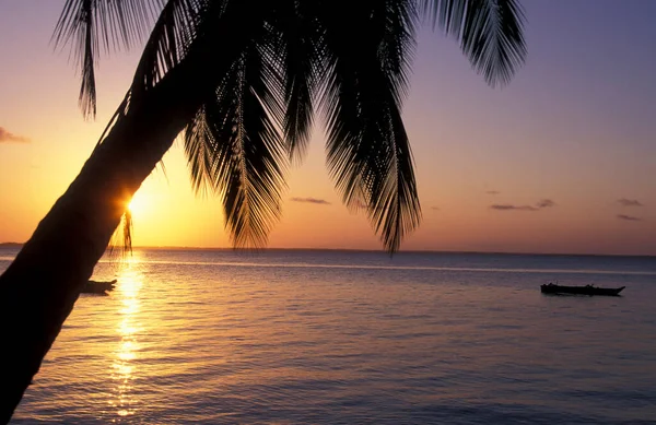 Pôr Sol Com Palmtrees Praia Baía Chwaka Perto Vila Bwejuu — Fotografia de Stock