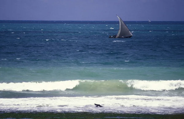 Hint Okyanusu Nda Tanzanya Nın Zanzibar Adası Ndaki Taş Kasaba — Stok fotoğraf