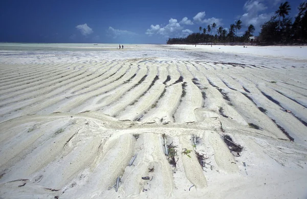 Krajobraz Wschodnim Wybrzeżu Wioski Bwejuu Wyspie Zanzibar Tanzanii Tanzania Zanzibar — Zdjęcie stockowe