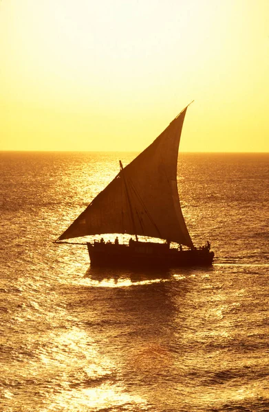 a traditional Dhoni Sailboat at the Indian Ocean in front of the Old Town of Stone Town on the Island of Zanzibar in Tanzania.  Tanzania, Zanzibar, Stone Town, October, 2004