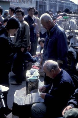 Çin 'in Pekin şehir merkezindeki bir hayvan pazarında bir Çin kuş pazarı. Çin, Pekin, Ekim 1997