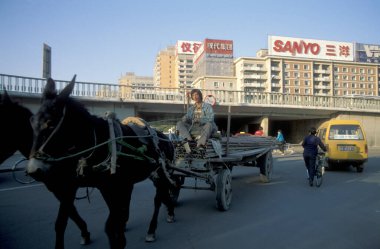 Çin 'in Pekin şehrinde at arabası nakliyesi. Çin, Pekin, Ekim 1997