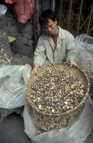 中国の北京市の旧市街の市場で乾燥キノコ 1997年10月 — ストック写真