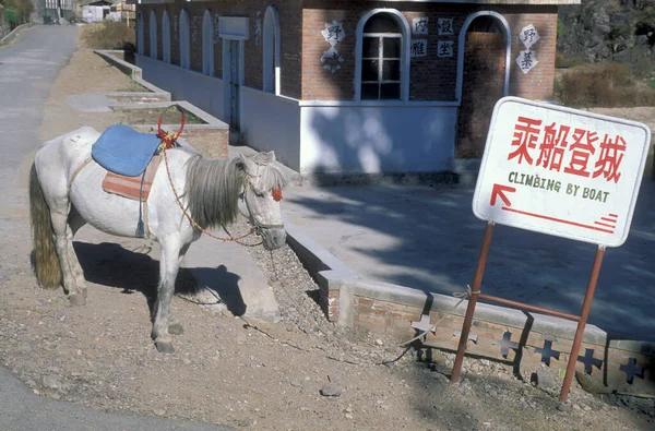 Лошадь Аренду Поездки Великую Китайскую Стену Ландшафте Северу Города Пекина — стоковое фото