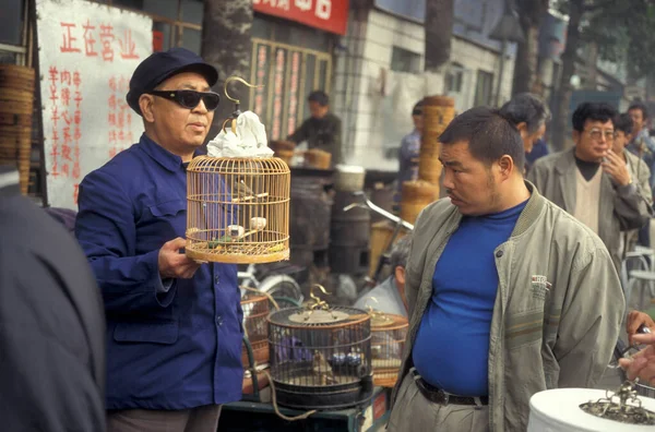 Çin 'in Pekin şehir merkezindeki bir hayvan pazarında bir Çin kuş pazarı. Çin, Pekin, Ekim 1997