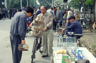 Çin 'in Pekin şehir merkezindeki bir hayvan pazarında bir Çin kuş pazarı. Çin, Pekin, Ekim 1997