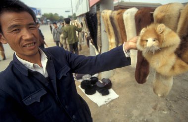 Çin 'in Shaanxi bölgesindeki Xian şehrinin merkezinde bir kürk pazarı. Çin, Xian, Ekim 1997