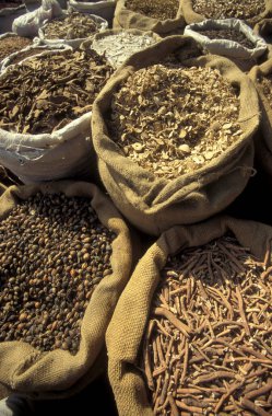 Çin 'in Shaanxi Provinz şehrindeki Xian şehrinin merkezindeki Çin Tıp Marketi' nde alternatif Çin tıbbı. Çin, Xian, Ekim 1997