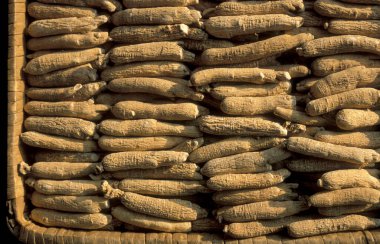 Çin 'in Shaanxi Provinz şehrindeki Xian şehrinin merkezindeki Çin Tıp Marketi' nde alternatif Çin tıbbı. Çin, Xian, Ekim 1997