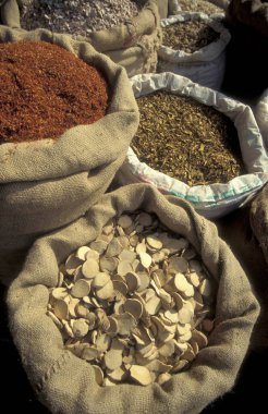 Çin 'in Shaanxi Provinz şehrindeki Xian şehrinin merkezindeki Çin Tıp Marketi' nde alternatif Çin tıbbı. Çin, Xian, Ekim 1997