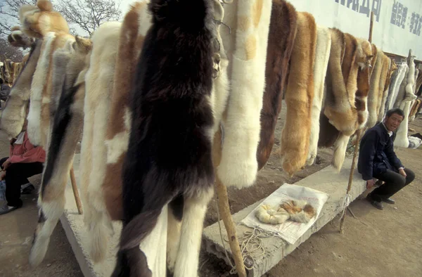 stock image a Fur Market in the City center of Xian in the Provinz of Shaanxi in China.  China, Xian, October, 1997