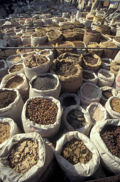 Çin 'in Shaanxi Provinz şehrindeki Xian şehrinin merkezindeki Çin Tıp Marketi' nde alternatif Çin tıbbı. Çin, Xian, Ekim 1997