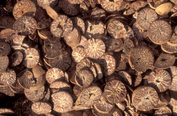 Çin 'de Şanksi' nin Provinz bölgesindeki Xian 'ın şehir merkezindeki Çin Tıp Marketi' nde alternatif Çin tıbbı. Çin, Xian, Ekim 1997