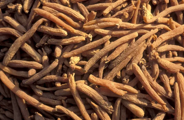 Çin 'de Şanksi' nin Provinz bölgesindeki Xian 'ın şehir merkezindeki Çin Tıp Marketi' nde alternatif Çin tıbbı. Çin, Xian, Ekim 1997