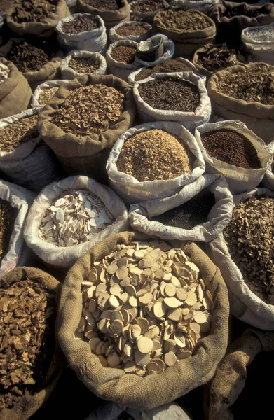 Çin 'de Şanksi' nin Provinz bölgesindeki Xian 'ın şehir merkezindeki Çin Tıp Marketi' nde alternatif Çin tıbbı. Çin, Xian, Ekim 1997