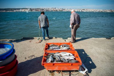 Fishingmen at the Rio Tejo near the City of Lisbon in Portugal.  Portugal, Lisbon, October, 2021