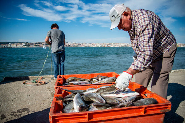 Fishingmen at the Rio Tejo near the City of Lisbon in Portugal.  Portugal, Lisbon, October, 2021