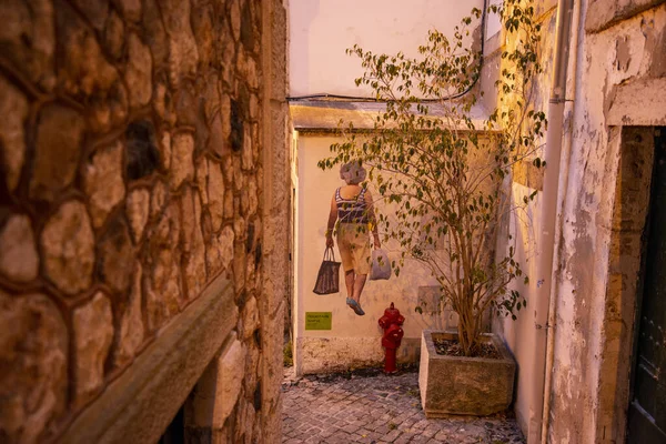 Una Calle Callejón Alfama Ciudad Lisboa Portugal Portugal Lisboa Octubre —  Fotos de Stock