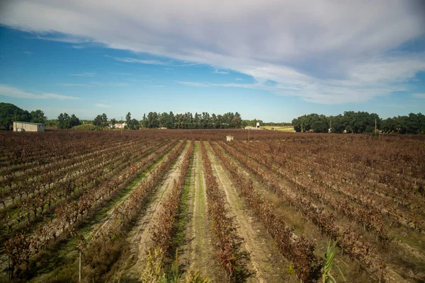 Krajina Zemědělství Vlaku Města Evora Alentejo Lisabonu Portugalsku Portugalsko Evora — Stock fotografie