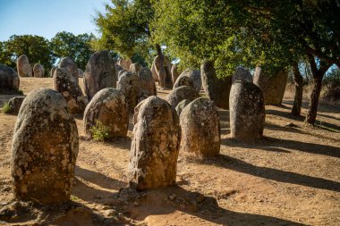 Portekiz 'in Alentejo kenti Evora yakınlarındaki Almendres' de Ebora Megalithica ve Cromlech of Almendres. Portekiz, Evora, Ekim 2021
