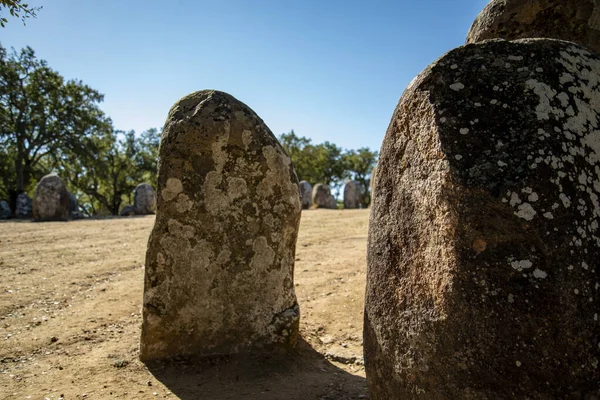 Ebora Megalithica Cromlech Almendres Almendres Cerca Ciudad Evora Alentejo Portugal — Foto de Stock