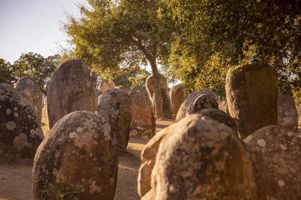 Ebora Megalithica Cromlech Almendres Almendres Cerca Ciudad Evora Alentejo Portugal — Foto de Stock