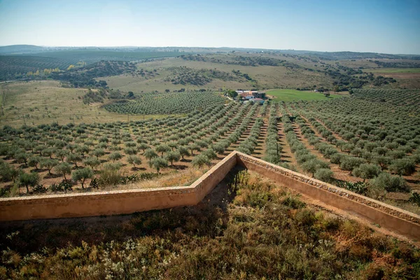 Das Castelo Ouguela Dorf Ouguela Alentejo Portugal Portugal Ouguela Oktober — Stockfoto