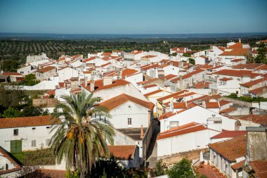 Portekiz, Alentejo 'daki Alter do Chao Köyü manzarası. Portekiz, Alter do Chao, Ekim 2021