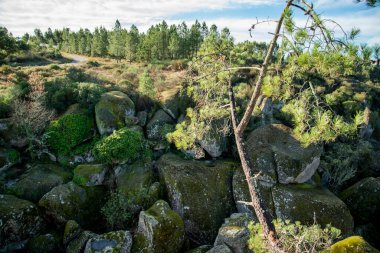 Portekiz, Alentejo 'daki Sume köyünün yakınındaki Ribeira de Sor' daki Taş Kanyonu. Portekiz, Sume, Ekim 2021