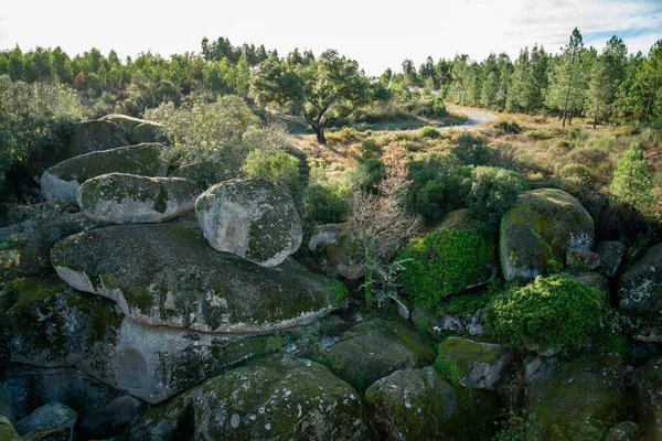 ポルトガルのAlentejoのSume村の近くにあるRibeira Sorの石のキャニオン ポルトガル 2021年10月 — ストック写真