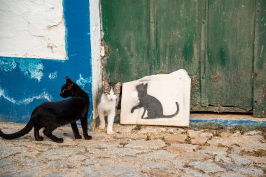 Portekiz, Alentejo 'da Terena Köyü' nde küçük bir ara sokakta siyah bir kedi. Portekiz, Terena, Ekim 2021